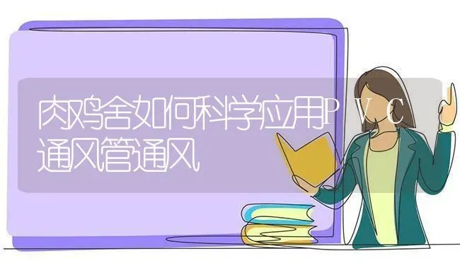 肉鸡舍如何科学应用PVC通风管通风 | 家禽养殖