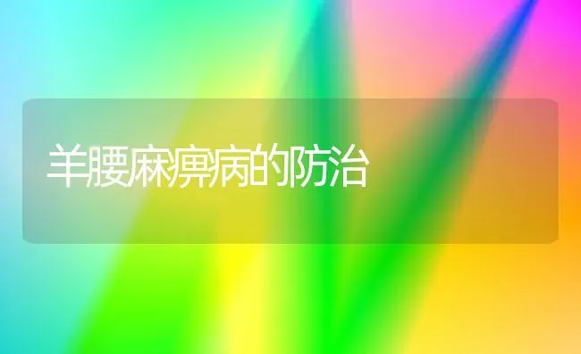 羊腰麻痹病的防治 | 家畜养殖