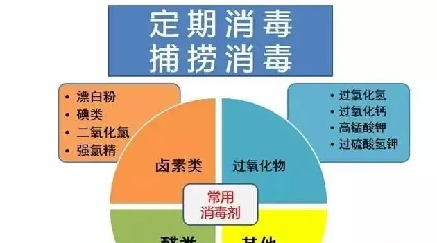 金秋9-10月草鱼黄金生长期，需要注意些什么？