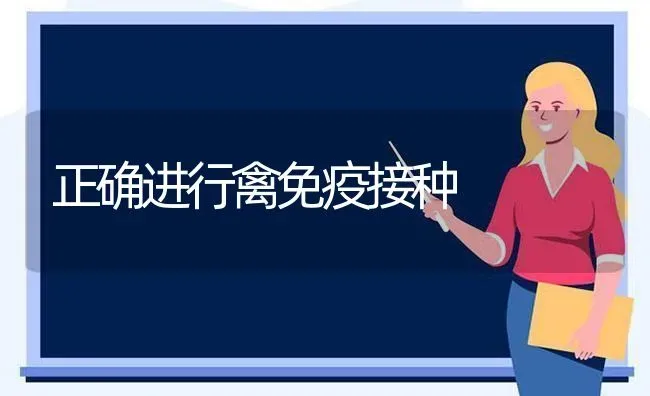 正确进行禽免疫接种 | 家禽养殖