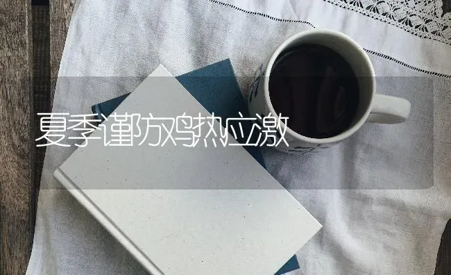 夏季谨防鸡热应激 | 家禽养殖