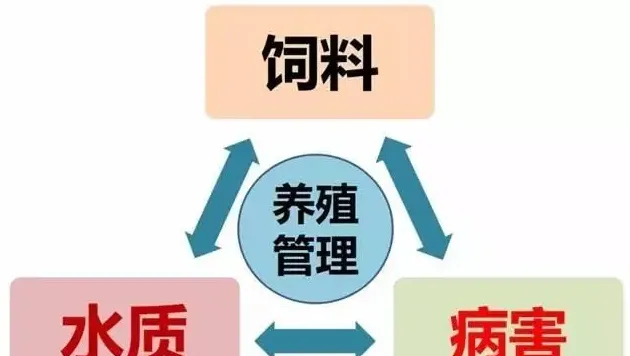 金秋9-10月草鱼黄金生长期，需要注意些什么？