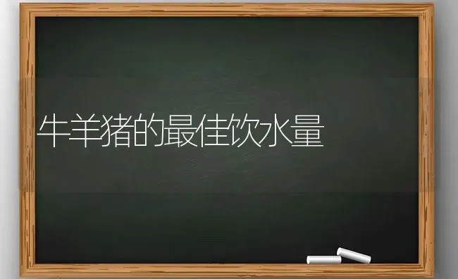 牛羊猪的最佳饮水量 | 家畜养殖