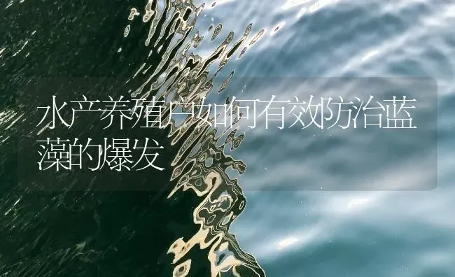 水产养殖户如何有效防治蓝藻的爆发 | 动物养殖百科