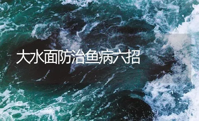 大水面防治鱼病六招 | 养殖病虫害防治