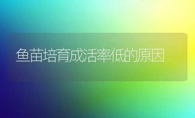 鱼苗培育成活率低的原因 | 淡水养殖