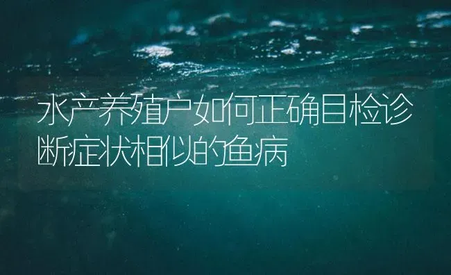 水产养殖户如何正确目检诊断症状相似的鱼病 | 养殖病虫害防治