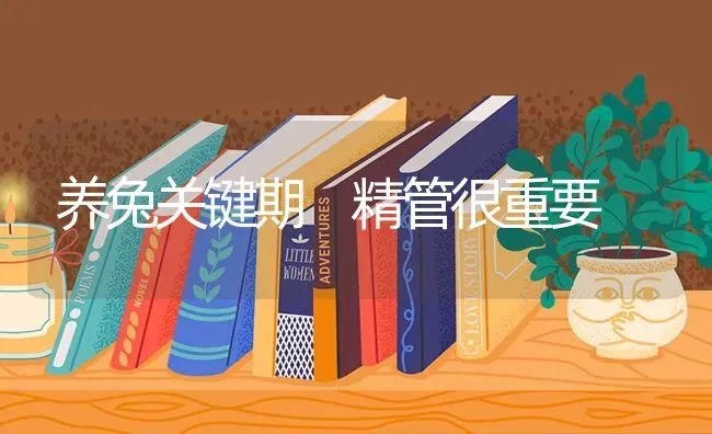 养兔关键期　精管很重要 | 家畜养殖