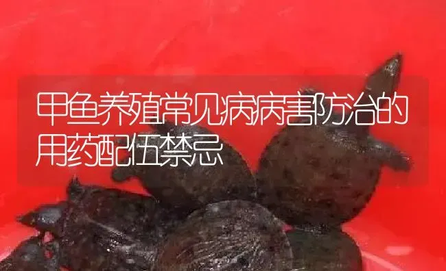 甲鱼养殖常见病病害防治的用药配伍禁忌 | 养殖病虫害防治