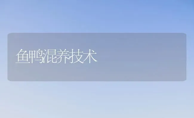 鱼鸭混养技术 | 家禽养殖