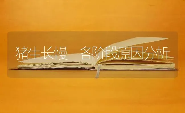 猪生长慢 各阶段原因分析 | 家畜养殖