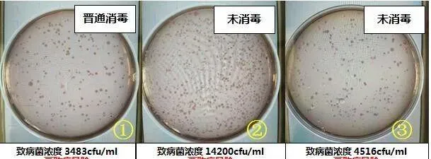 青鱼、鳊鱼鱼病高峰即将来临，请做好准备