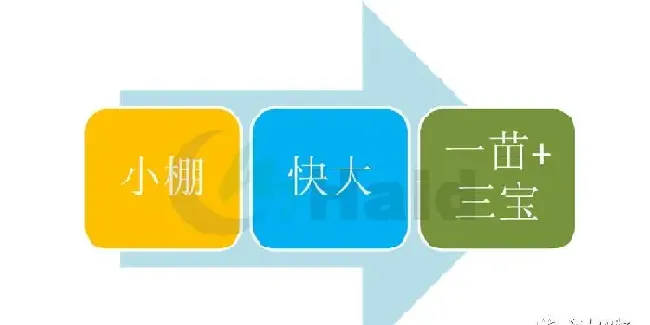 2018年，北方小棚标粗对虾养殖模式如何规划更合理？