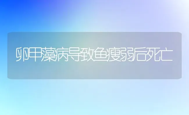 卵甲藻病导致鱼瘦弱后死亡 | 淡水养殖