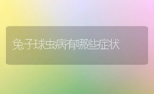 兔子球虫病有哪些症状 | 家畜养殖