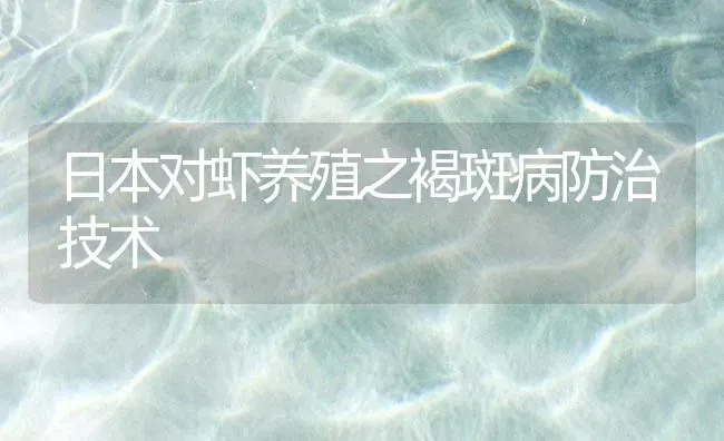 日本对虾养殖之褐斑病防治技术 | 海水养殖