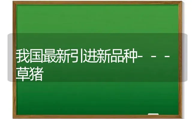 我国最新引进新品种---草猪 | 家畜养殖