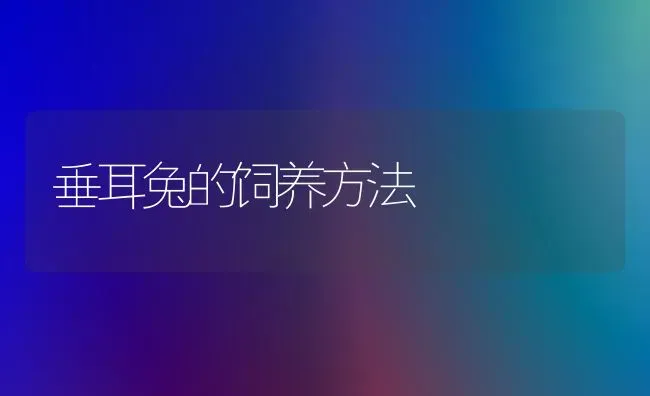 垂耳兔的饲养方法 | 家畜养殖