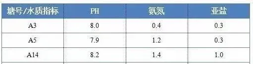 都在谈诺卡氏菌色变，其实生鱼烂身病还是有防治方法的……