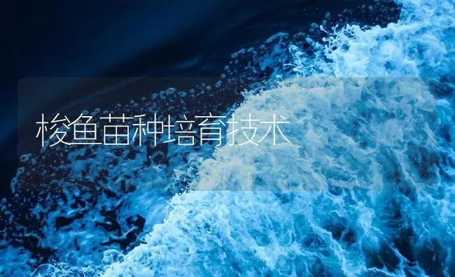 梭鱼苗种培育技术 | 海水养殖