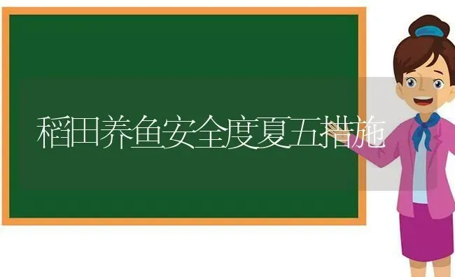 稻田养鱼安全度夏五措施 | 动物养殖百科