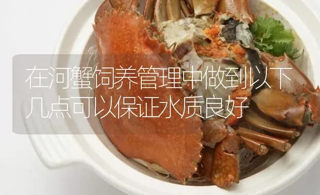 在河蟹饲养管理中做到以下几点可以保证水质良好 | 淡水养殖