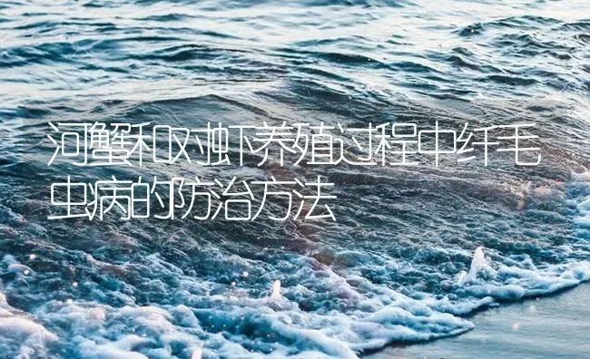 河蟹和对虾养殖过程中纤毛虫病的防治方法 | 海水养殖