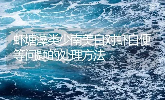 虾塘藻类少南美白对虾白便等问题的处理方法 | 海水养殖