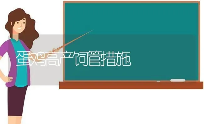 蛋鸡高产饲管措施 | 家禽养殖