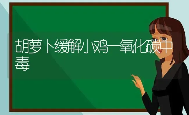 胡萝卜缓解小鸡一氧化碳中毒 | 家禽养殖