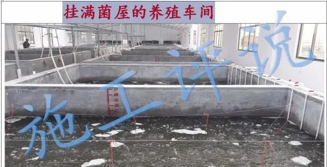 环境在不断变化，水产养殖方法也要随之而创新