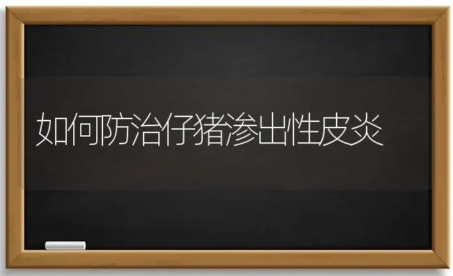 如何防治仔猪渗出性皮炎 | 家畜养殖