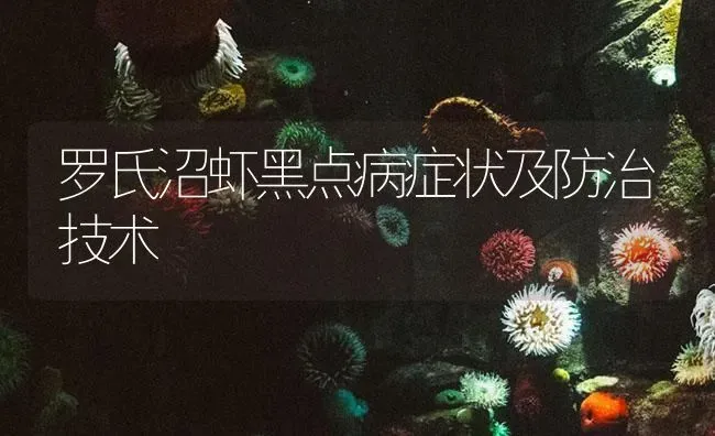 罗氏沼虾黑点病症状及防治技术 | 海水养殖
