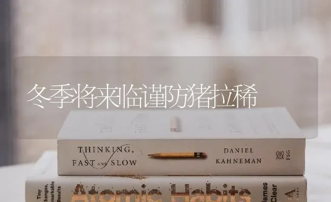 冬季将来临谨防猪拉稀 | 家畜养殖