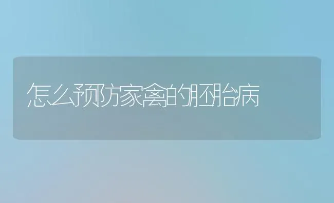 怎么预防家禽的胚胎病 | 家禽养殖