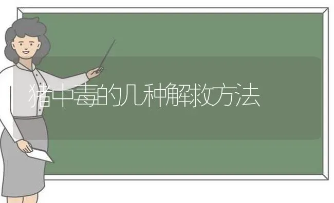 猪中毒的几种解救方法 | 家畜养殖