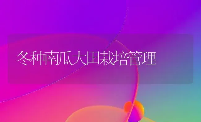 给仔猪断脐有禁忌 | 家畜养殖