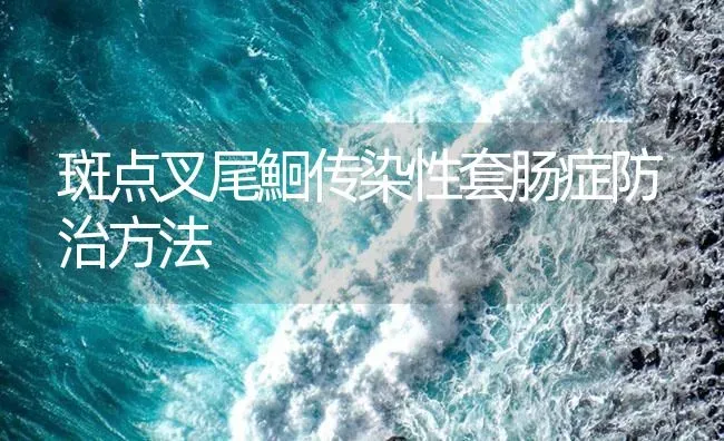 斑点叉尾鮰传染性套肠症防治方法 | 养殖病虫害防治