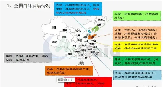 2018年，北方小棚标粗对虾养殖模式如何规划更合理？