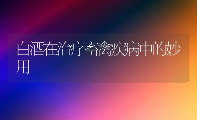 白酒在治疗畜禽疾病中的妙用 | 家禽养殖