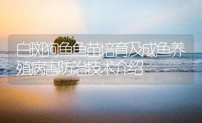 白斑狗鱼鱼苗培育及成鱼养殖病害防治技术介绍 | 淡水养殖