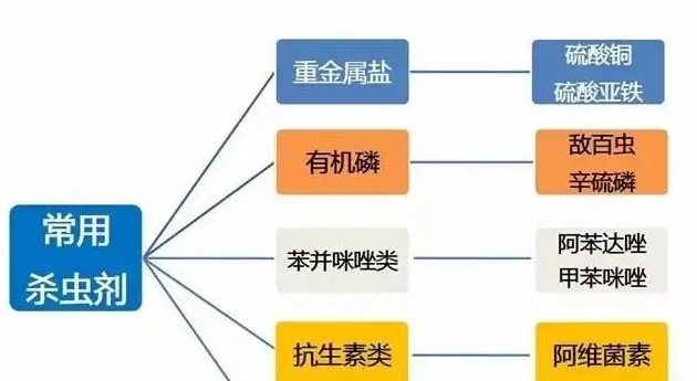 金秋9-10月草鱼黄金生长期，需要注意些什么？