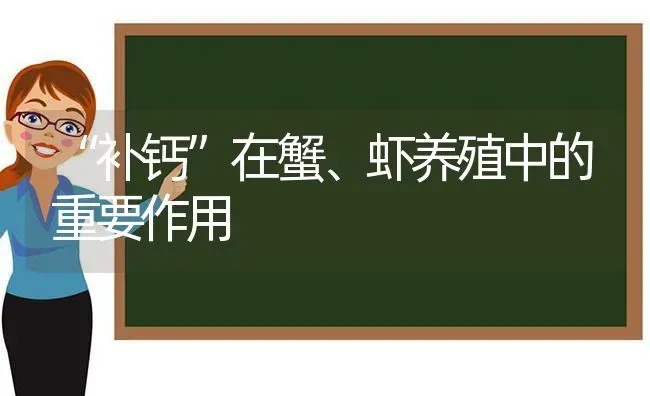 “补钙”在蟹、虾养殖中的重要作用 | 动物养殖百科