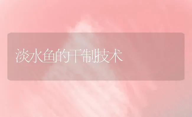 淡水鱼的干制技术 | 淡水养殖