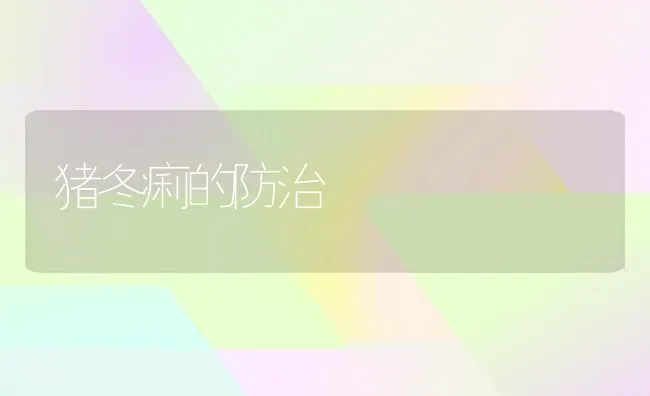 静原鸡 | 家禽养殖