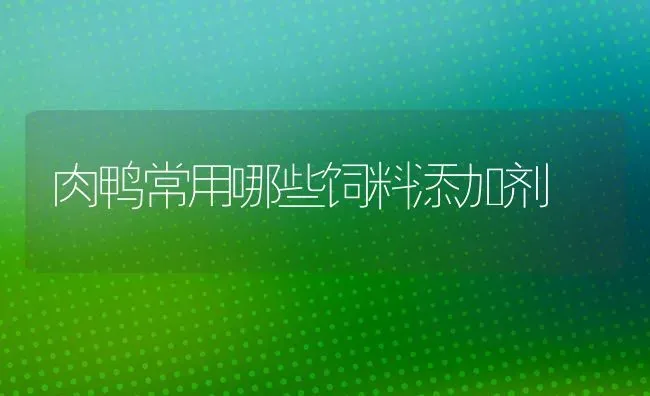 肉鸭常用哪些饲料添加剂 | 家禽养殖