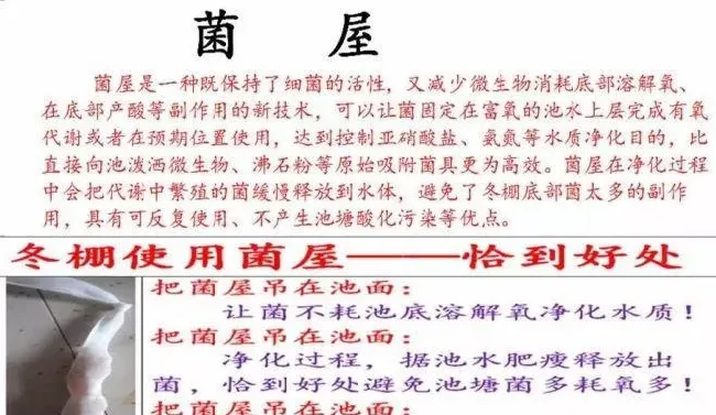 环境在不断变化，水产养殖方法也要随之而创新