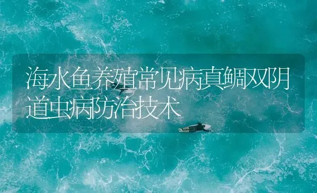 海水鱼养殖常见病真鲷双阴道虫病防治技术 | 养殖病虫害防治