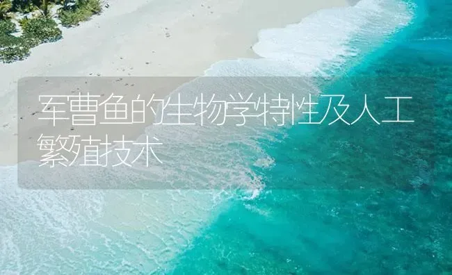 军曹鱼的生物学特性及人工繁殖技术 | 海水养殖