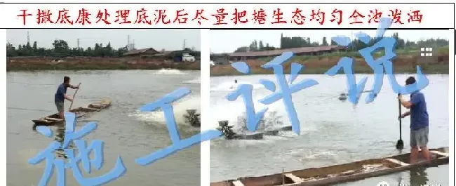 夏造对虾长不大？看看是不是这四大方面的原因！